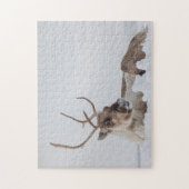 Puzzle Photo de la nature des rennes (Vertical)