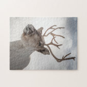 Puzzle Photo de la nature des rennes (Horizontal)