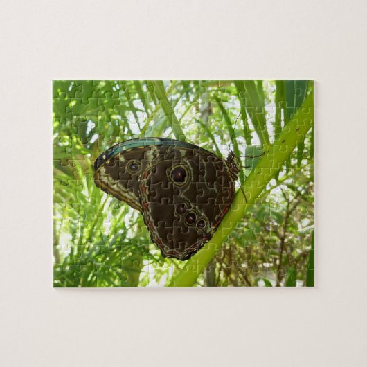 Puzzle Photo de la nature du papillon bleu Morpho (Horizontal)