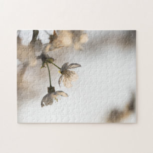 Puzzle Photo de la nature florissante des cerisiers blanc