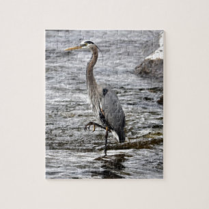 Puzzle Photo de l'amoureux d'oiseaux de la faune du Great
