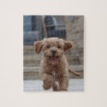 Puzzle Photo de l'animal | Photo Télécharger un chien ado<br><div class="desc">Personnalisez votre propre modèle pour inclure votre photo préférée de votre chien, chat, animaux de compagnie, bébé, enfants, famille ou amis! Un modèle facile à personnaliser pour faire votre propre design avec votre image. Le cadeau parfait pour un être cher ! L'image montrée n'est à des fins d'illustration que pour...</div>