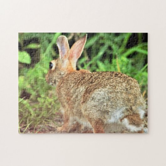 Puzzle Photo de lapin (Horizontal)