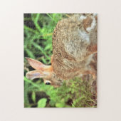 Puzzle Photo de lapin (Vertical)