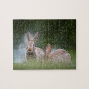 Puzzle Photo de lapins