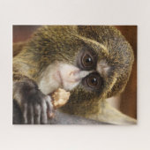 Puzzle Photo de l'arbre de l'Escalade singe (Horizontal)