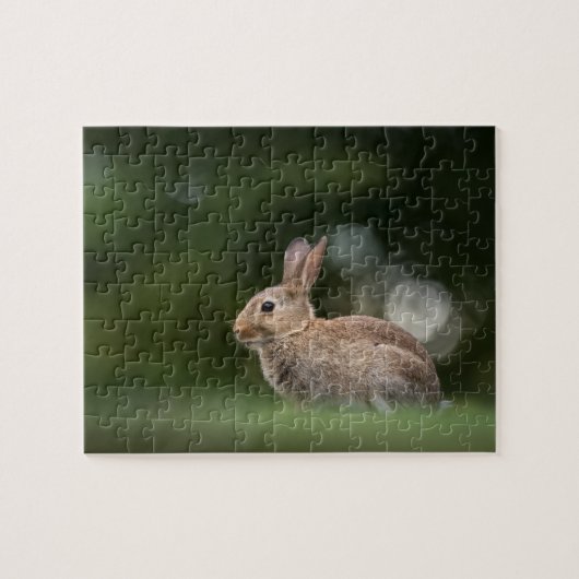 Puzzle Photo de Little Rabbit Nature (Horizontal)