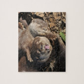 Puzzle Photo de loutre (Vertical)