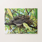 Puzzle Photo de nid d'oiseau (Horizontal)