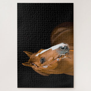 Puzzle Photo de Quarter Horse Brun Blanc Noir