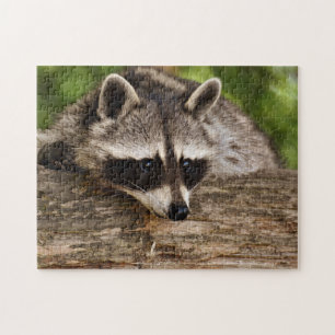 Puzzle Photo de raton laveur mignon en forêt