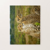 Puzzle Photo de Wildlife Cheetah (Vertical)