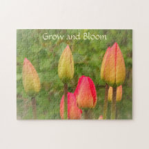 Photo des tulipes en fleurs