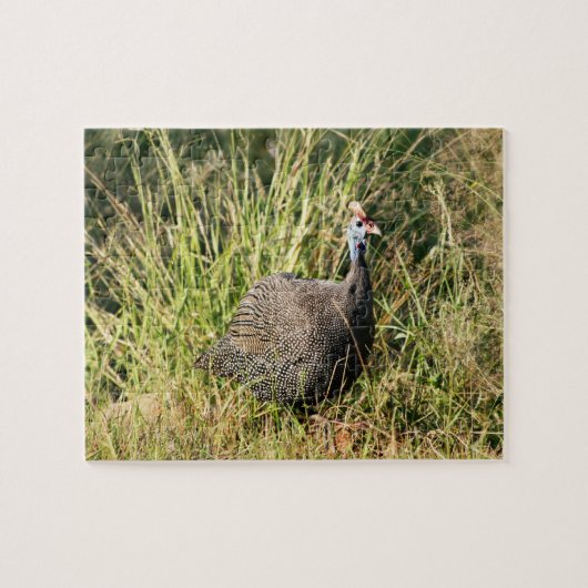 Puzzle Photo d'oiseau sud-africain de pintade de Lowveld (Horizontal)