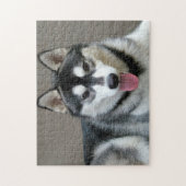 Puzzle Photo du chien Malamute de l'Alaska (Vertical)