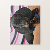 Puzzle Photo du chiot de Cute Dachshund (Vertical)