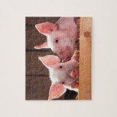 Puzzle Photo d'un animal de porcelets roses mignons (Vertical)