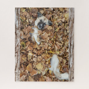 Puzzle Photo d'un chien en feuille.