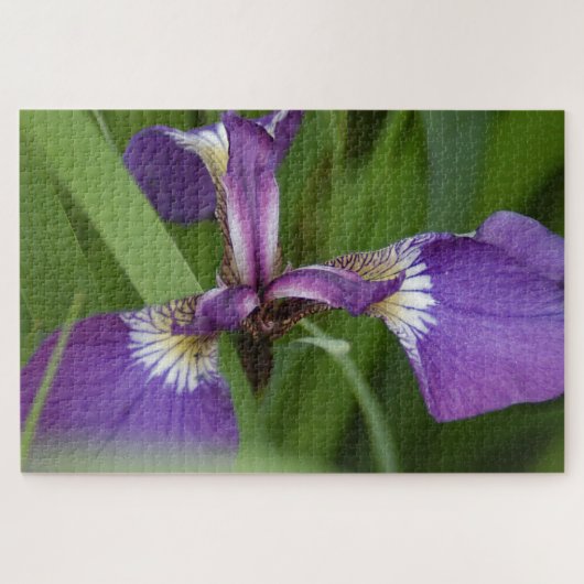 Puzzle Photo d'une belle fleur d'iris violet (Horizontal)