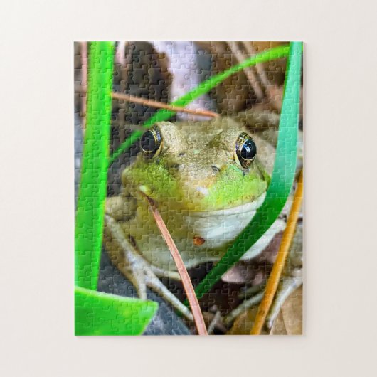 Puzzle Photo d'une grenouille Minnesota. (Vertical)