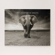 Photo en noir et blanc d'un éléphant africain,