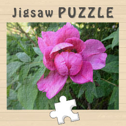 Puzzle Photo esthétique de fleur rose en fleurs -