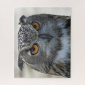 Puzzle Photo Eurasian Eagle Owl (Vertical)