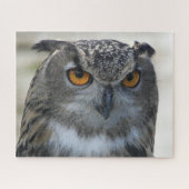 Puzzle Photo Eurasian Eagle Owl (Horizontal)