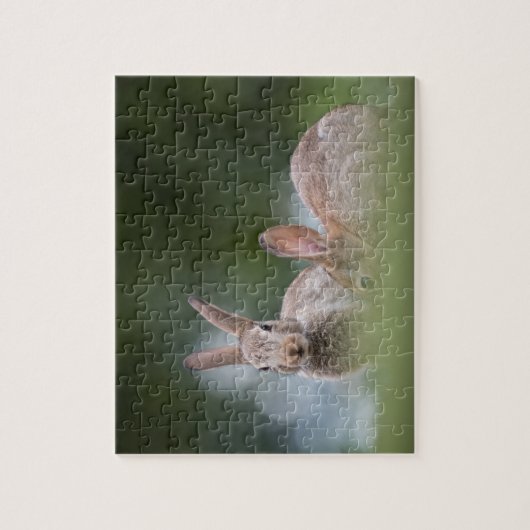 Puzzle Photo Faune de lapins (Vertical)