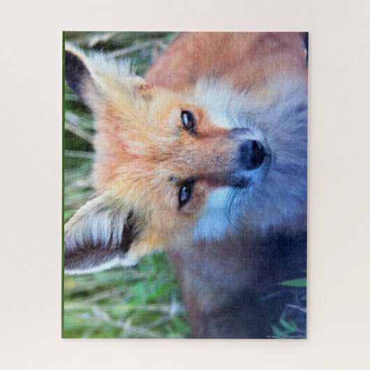 Puzzle photo Fox (Vertical)