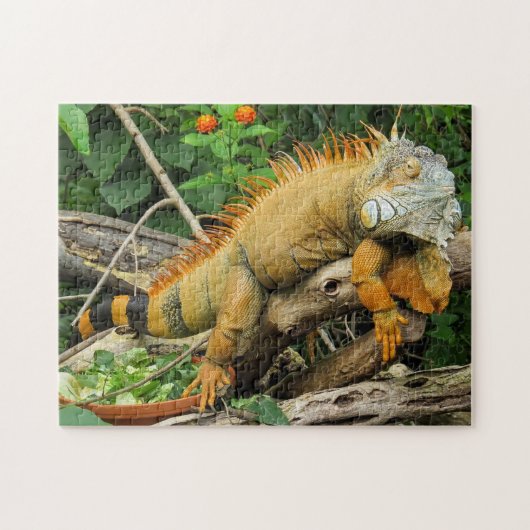 Puzzle Photo Iguana (Horizontal)