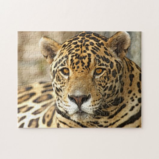 Puzzle Photo Jaguar (Horizontal)