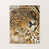 Puzzle Photo Jaguar (Vertical)