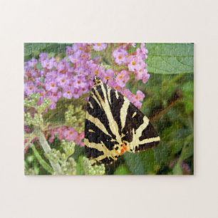 Puzzle photo Jersey Tiger avec boîte cadeau