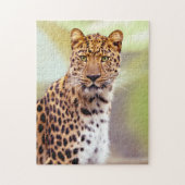 Puzzle Photo Leopard (Vertical)