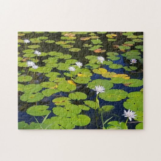 Puzzle Photo Lily Pad Pond ou votre photo (Horizontal)