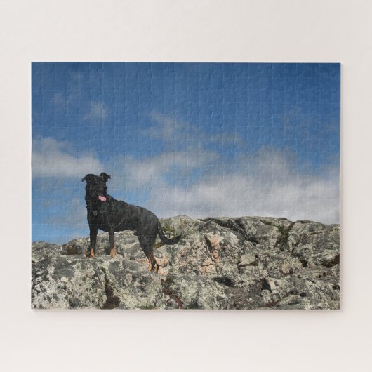 Puzzle Photo mignonne Black Dog Mutt Lab Shephered Photo (Horizontal)