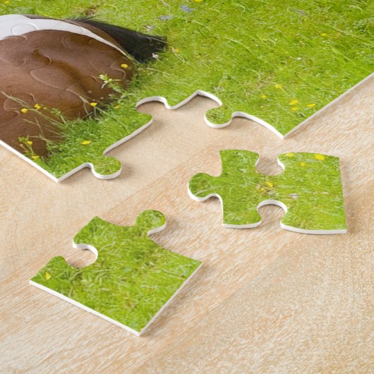 Puzzle Photo nature, chevaux bruns sauvages dans une prai (Côté)