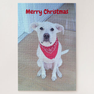 Puzzle Photo of Cute Dog With Funny Sticking Out Ears Red