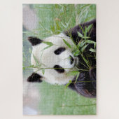 puzzle Photo panda géant, animaux 0341. (Vertical)