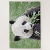 puzzle Photo panda géant, animaux 0342. (Vertical)