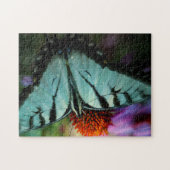 Puzzle photo papillon (Horizontal)