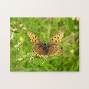 Puzzle photo Papillon en cuivre à bords violets