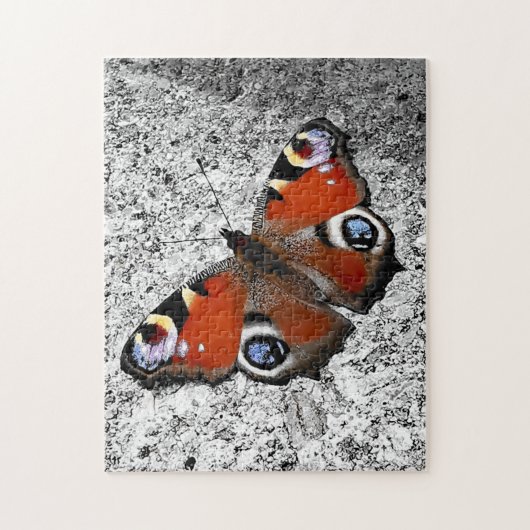Puzzle Photo papillon Peacock (Vertical)