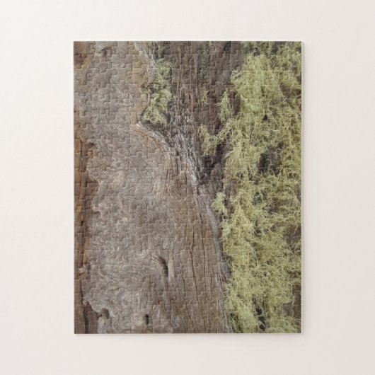 Puzzle Photo Patiné Ponderosa Pine Tree Bark (Vertical)
