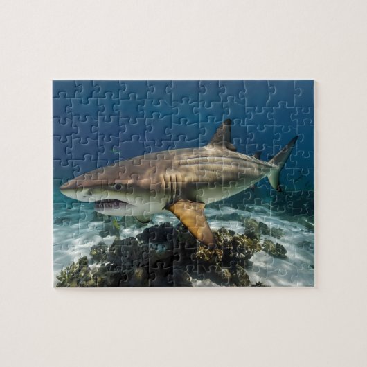 Puzzle Photo personnalisée Poisson de requin blanc bleu p (Horizontal)