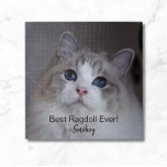 Puzzle Photo pour animaux de compagnie personnalisée Meil<br><div class="desc">Ce design présente une belle photo de chat Ragdoll aux yeux bleus et une typographie noire. Vous pouvez remplacer la photo par une image de votre propre chat ou chaton. L'exemple de texte - Best Ragdoll Ever - peut être modifié en mots de votre choix et un Nom peut également...</div>