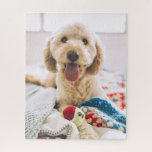 Puzzle photo pour animaux de compagnie vertical pe<br><div class="desc">Ajoutez une touche unique sur le plaisir de la famille avec ce puzzle photo personnalisé pour animaux de compagnie. Utilisez votre photo d'animal de compagnie préférée ou vos photos de famille. Ce sera un grand cadeau.</div>