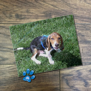 Puzzle photo pour chien personnalisé