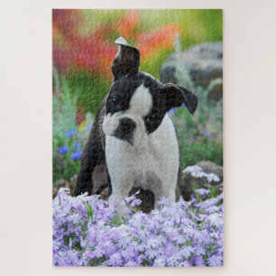 Puzzle Photo principale animale de chiot mignon de chien